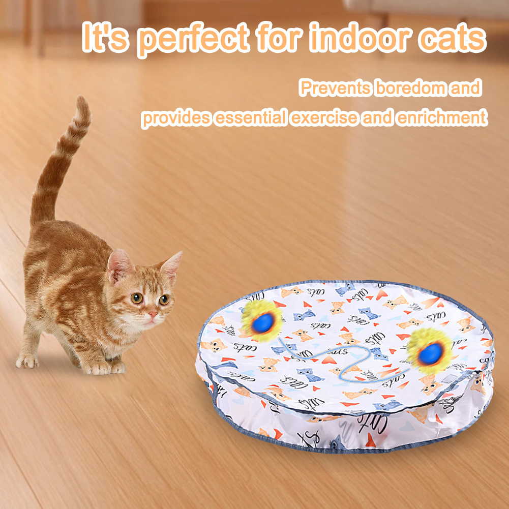 thumbnail image 5 of Gatito Gato Atrapando El Juego Escondite Y Busca Juguete Rolling Usb Recargable 2 Modos para Interior, 5 of 10