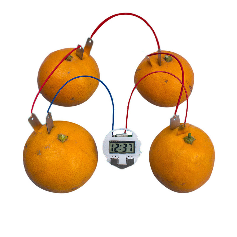 thumbnail image 4 of Experimento Científico Bricolaje Kits Generador Frutas Juguete Enseñanza Física para, 4 of 10