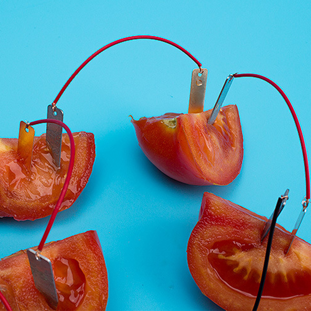 thumbnail image 3 of Experimento Científico Bricolaje Kits Generador Frutas Juguete Enseñanza Física para, 3 of 10