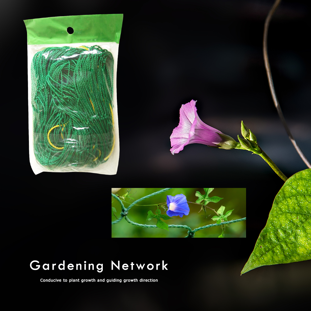thumbnail image 4 of WDOplteas Cuerda Soporte Vid Flores Nailon para Plantas Jardín (1 8x1 8 M), 4 of 10