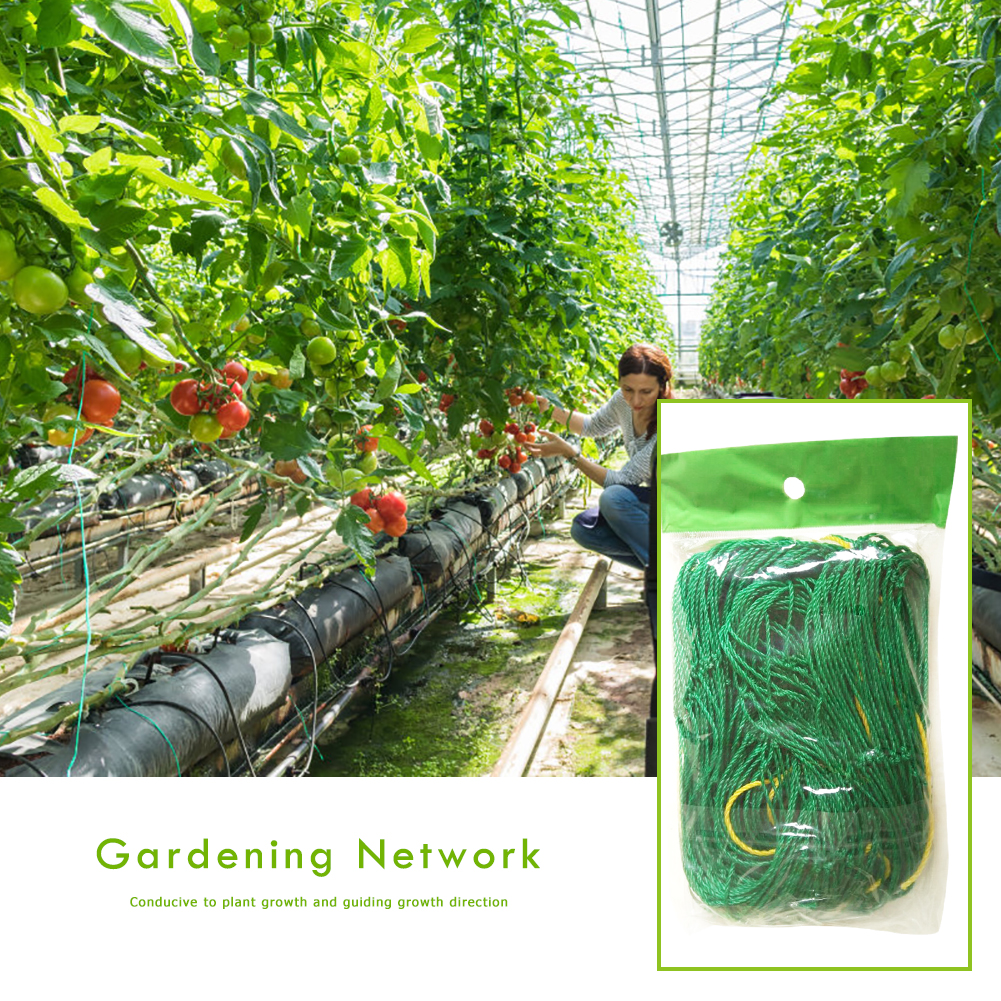 thumbnail image 5 of WDOplteas Cuerda Soporte Vid Flores Nailon para Plantas Jardín (1 8x1 8 M), 5 of 10
