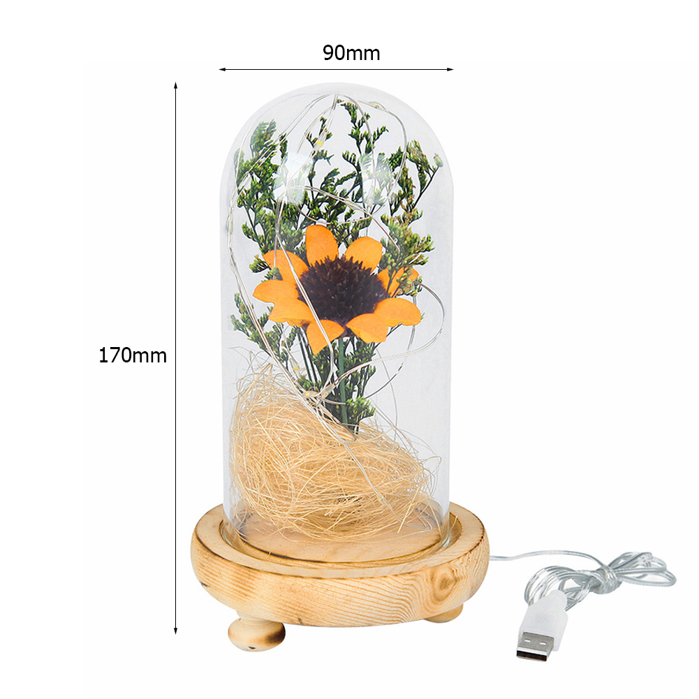 thumbnail image 5 of [Amarillo] Flores Secas Decoran La Cubierta Vidrio Girasol Micropaisaje Transparente Adornos Girasol Cáscara Hechos A Mano para El Día San Valentín (Amarillo), 5 of 10