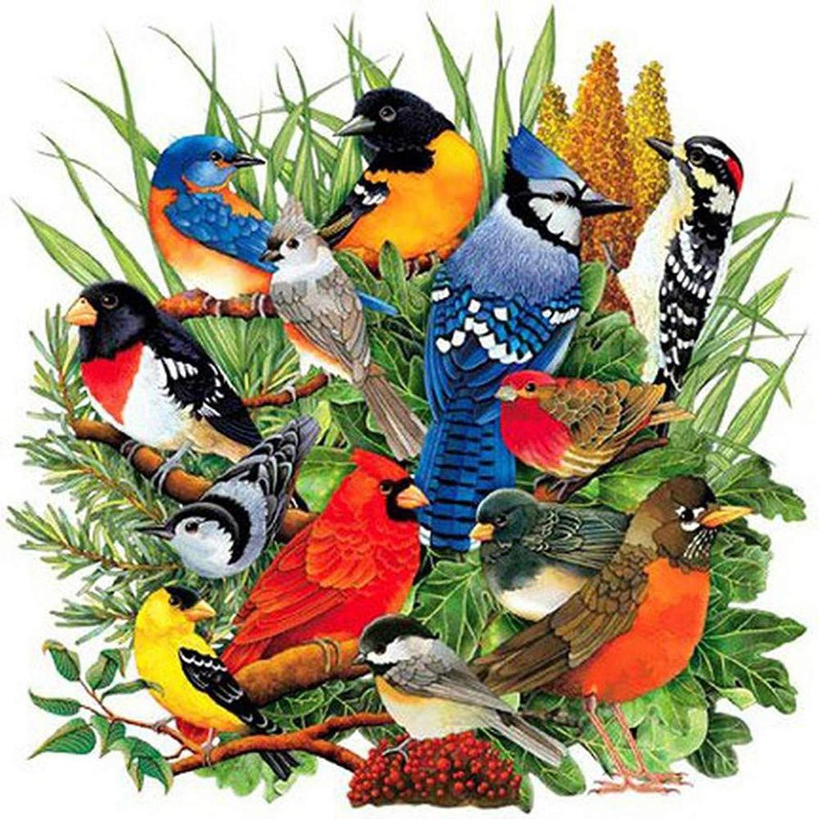 thumbnail image 2 of Lleno Diamantes Colección Pájaros Serie Animal Diamante Resina 40*40CM A1810, 2 of 10