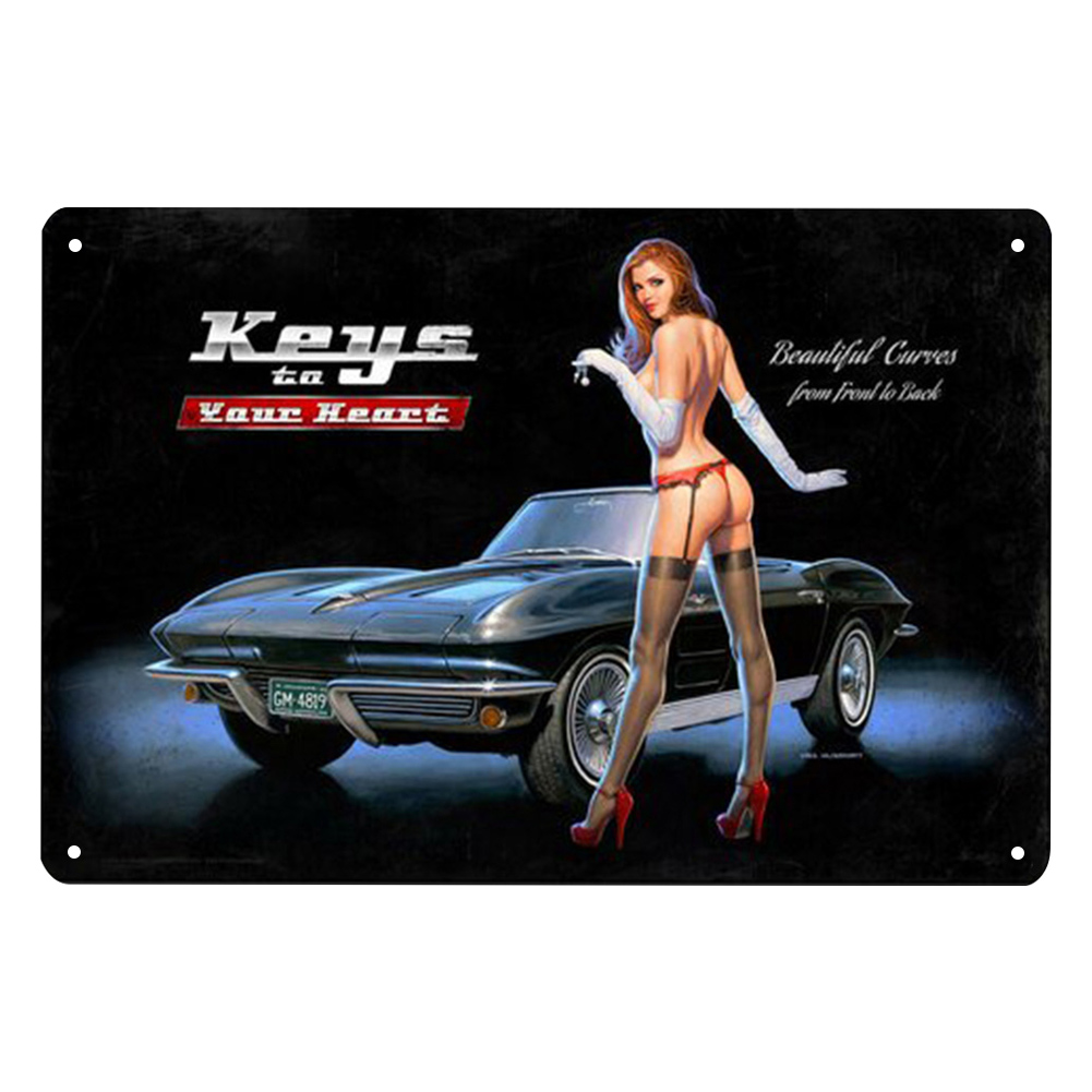 thumbnail image 2 of Póster Coche para Mujer Placa Metal Retro Letrero Accesorios Pared, 2 of 10